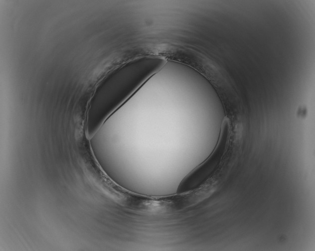 X0000115630558200911101121