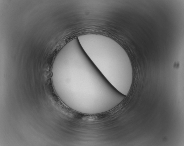 X0000115630559200911101121