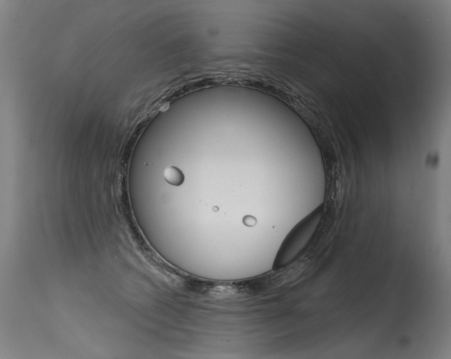 X0000115630562200911101121