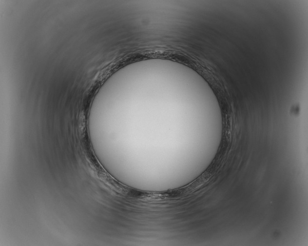 X0000115630563200911101121