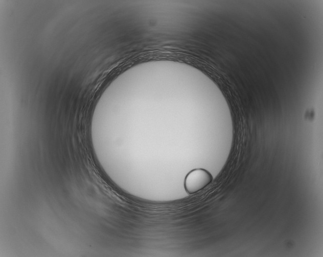 X0000115630566200911101121