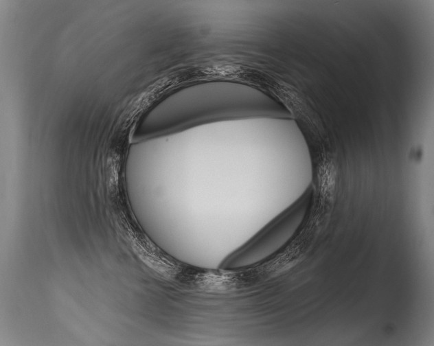 X0000115630570200911101121