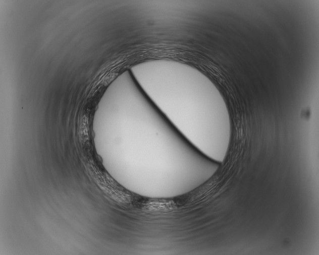X0000115630571200911101121