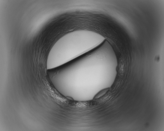 X0000115630574200911101121