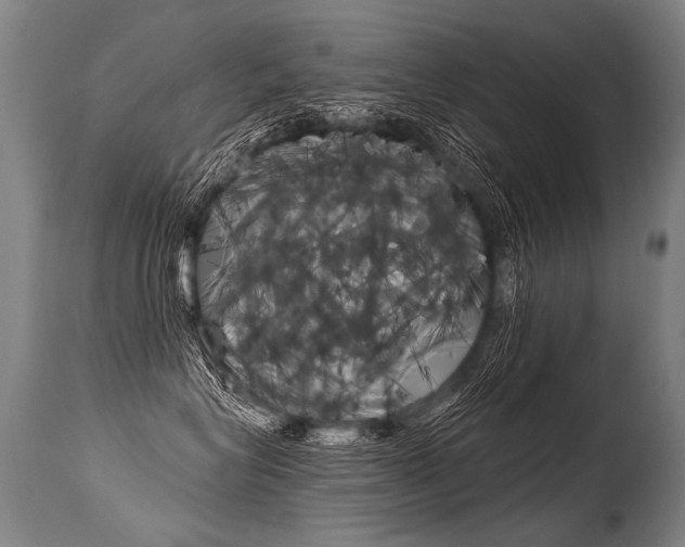 X0000115630575200911101121