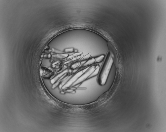 X0000115630577200911101120