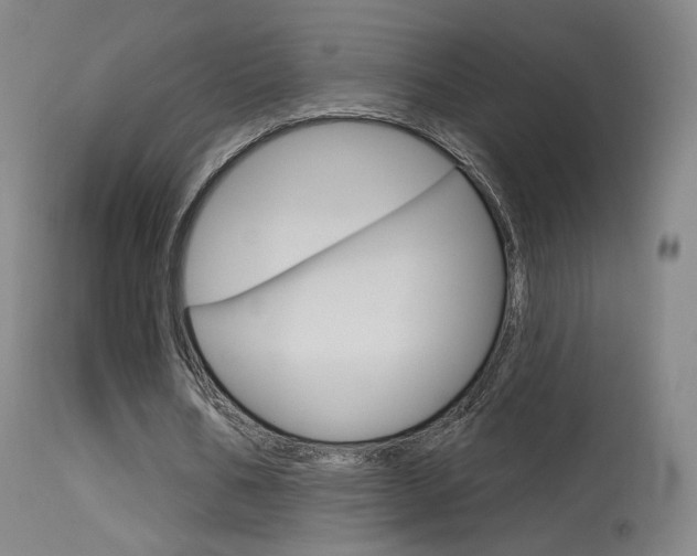 X0000115630578200911101120