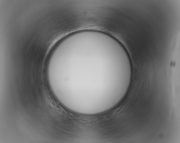 X0000115630579200911101120