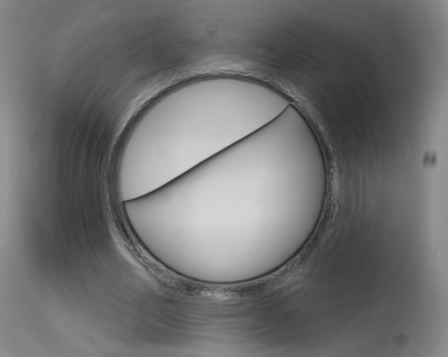X0000115630582200911101120