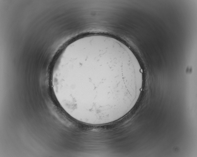 X0000115630584200911101120