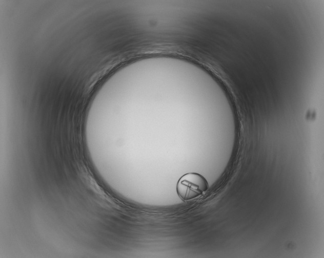 X0000115630585200911101120