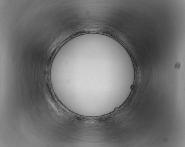 X0000115630586200911101120