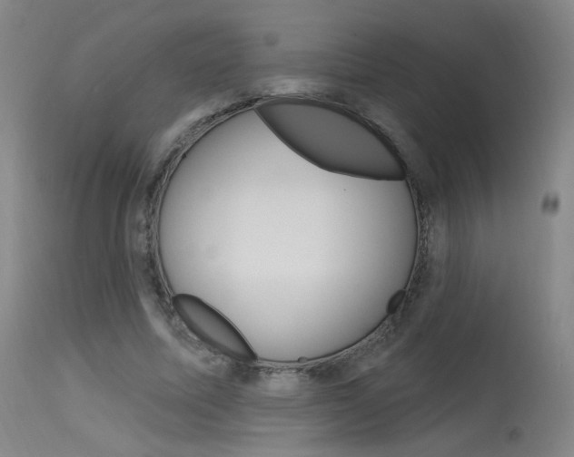 X0000115630587200911101120