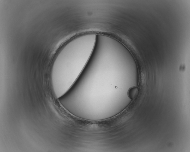 X0000115630588200911101120