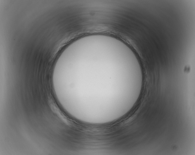 X0000115630589200911101120