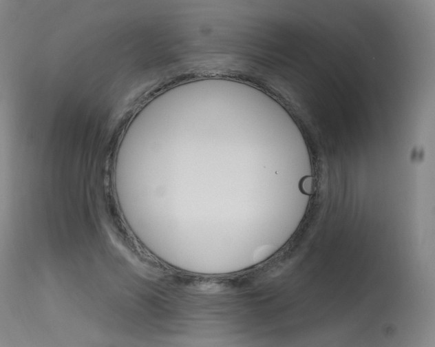 X0000115630590200911101120