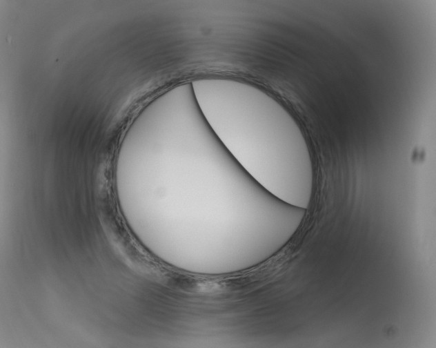 X0000115630591200911101120