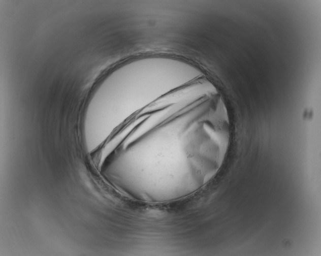 X0000115630592200911101120