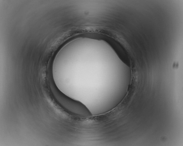 X0000115630593200911101120