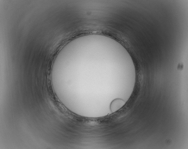 X0000115630594200911101120