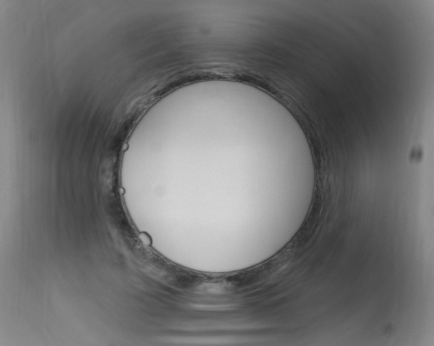 X0000115630595200911101120