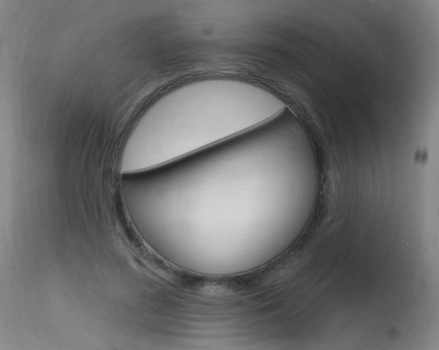 X0000115630596200911101120