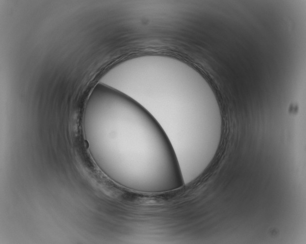 X0000115630597200911101120