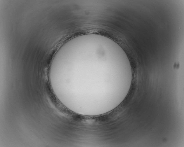 X0000115630598200911101120