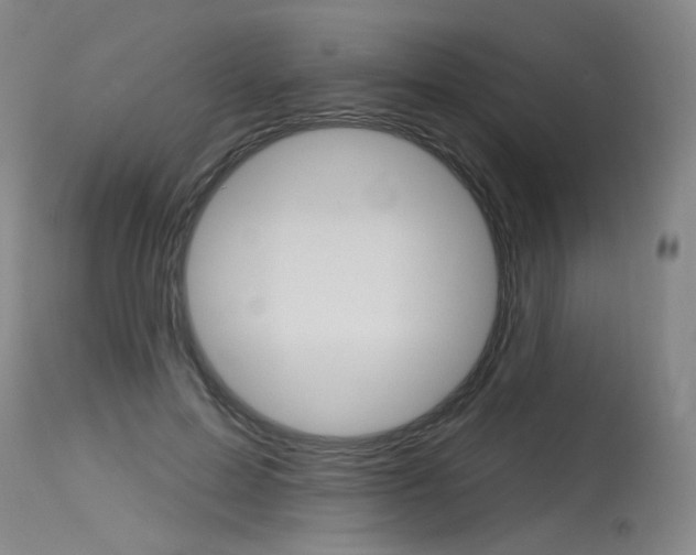 X0000115630599200911101120