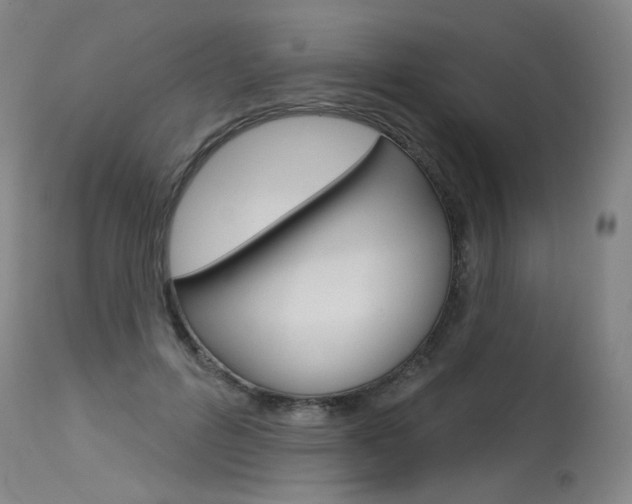 X0000115630600200911101120