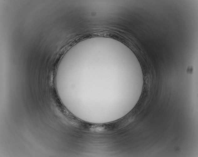 X0000115630602200911101120