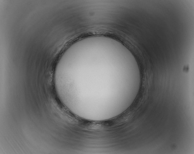 X0000115630604200911101120