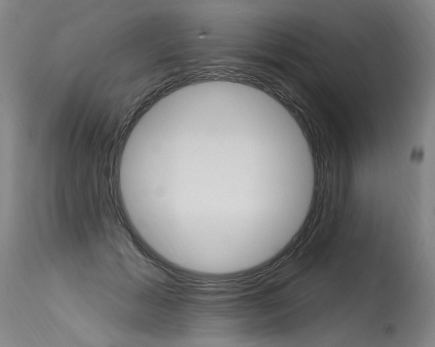 X0000115630605200911101120