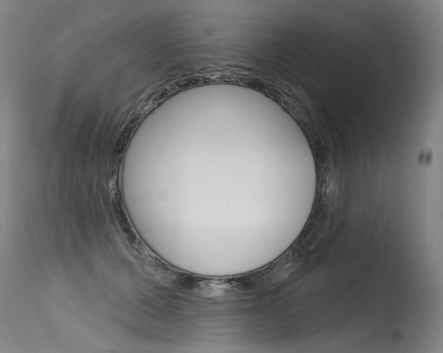 X0000115630607200911101120