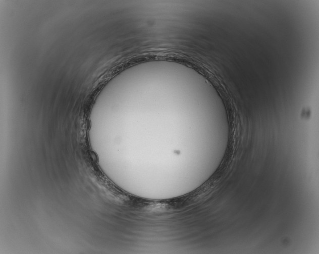 X0000115630609200911101120