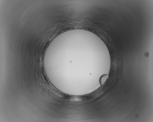 X0000115630610200911101120