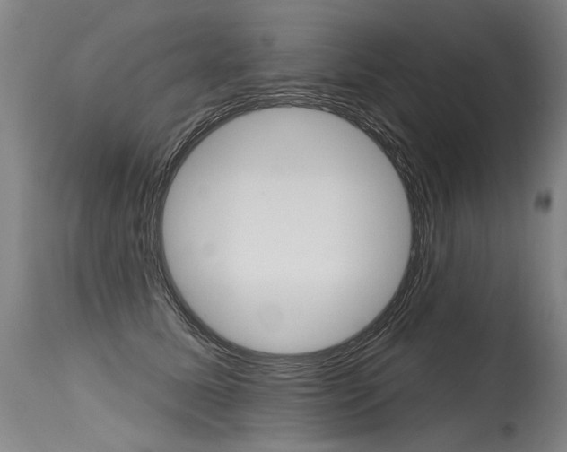 X0000115630611200911101120