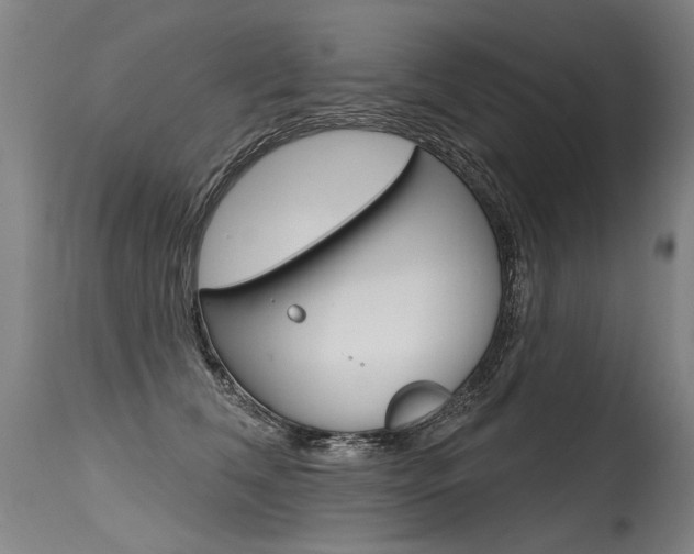 X0000115630612200911101120