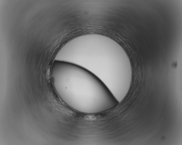 X0000115630613200911101120