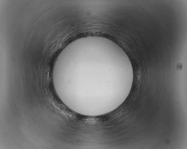 X0000115630615200911101120