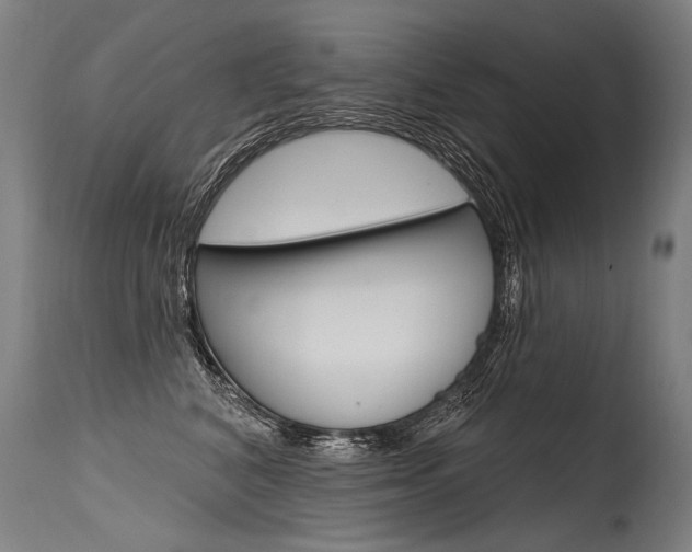 X0000115630616200911101120