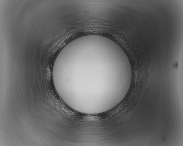 X0000115630617200911101120