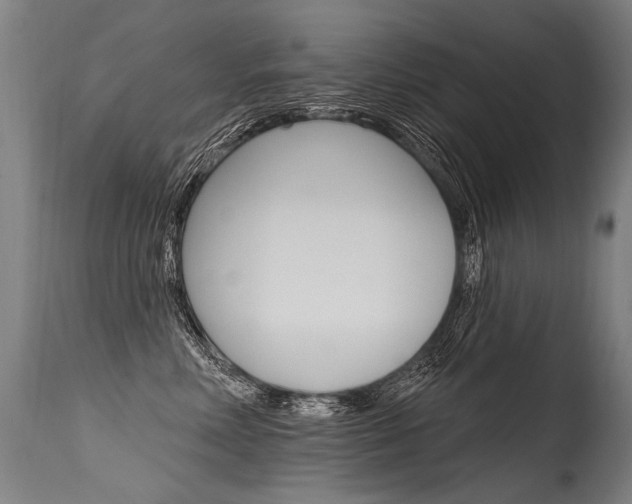 X0000115630618200911101120