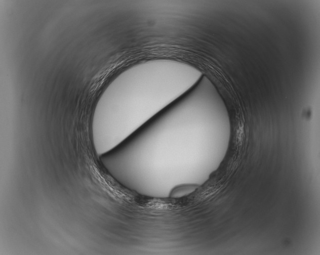 X0000115630620200911101120