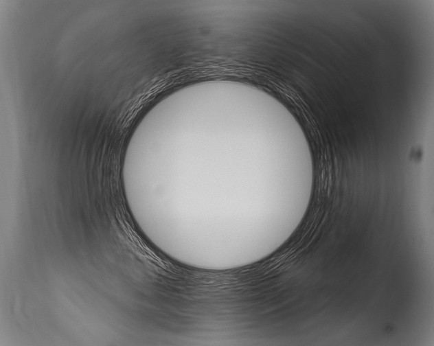 X0000115630621200911101120