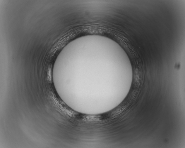 X0000115630622200911101120