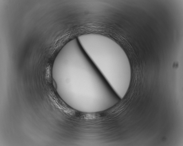 X0000115630623200911101120