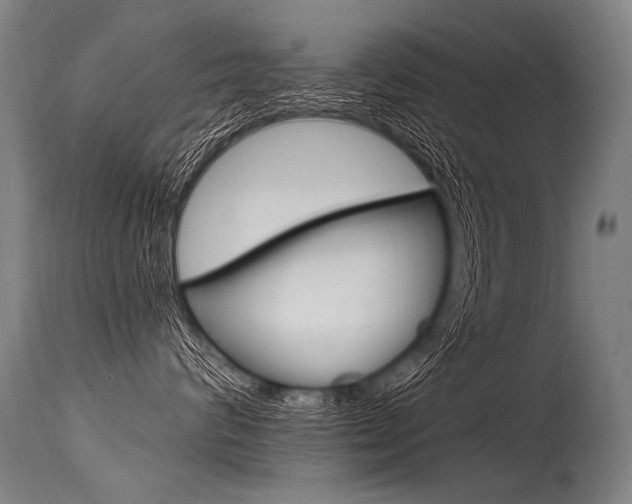 X0000115630624200911101120