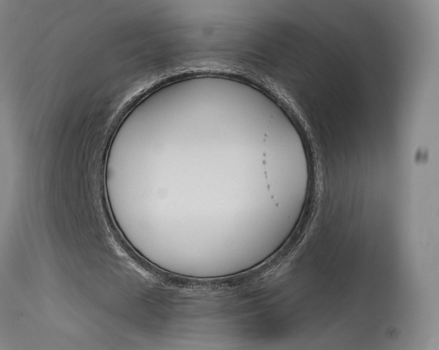 X0000115630625200911101119
