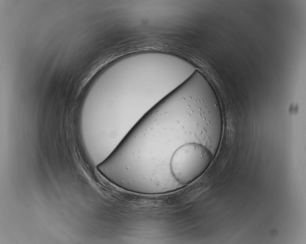X0000115630626200911101119